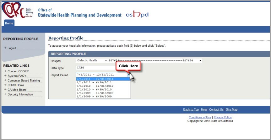 Sample Reporting Profile