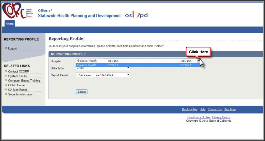 Sample Reporting Profile