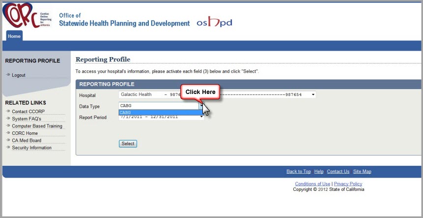 Sample Reporting Profile