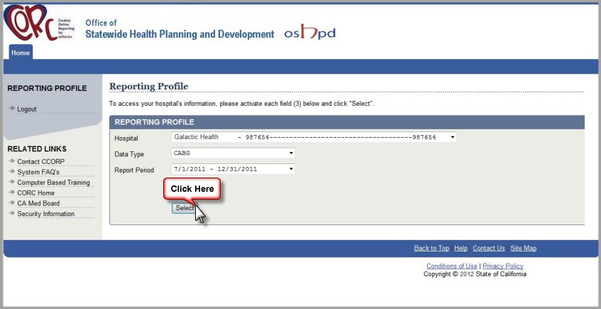 Sample Reporting Profile